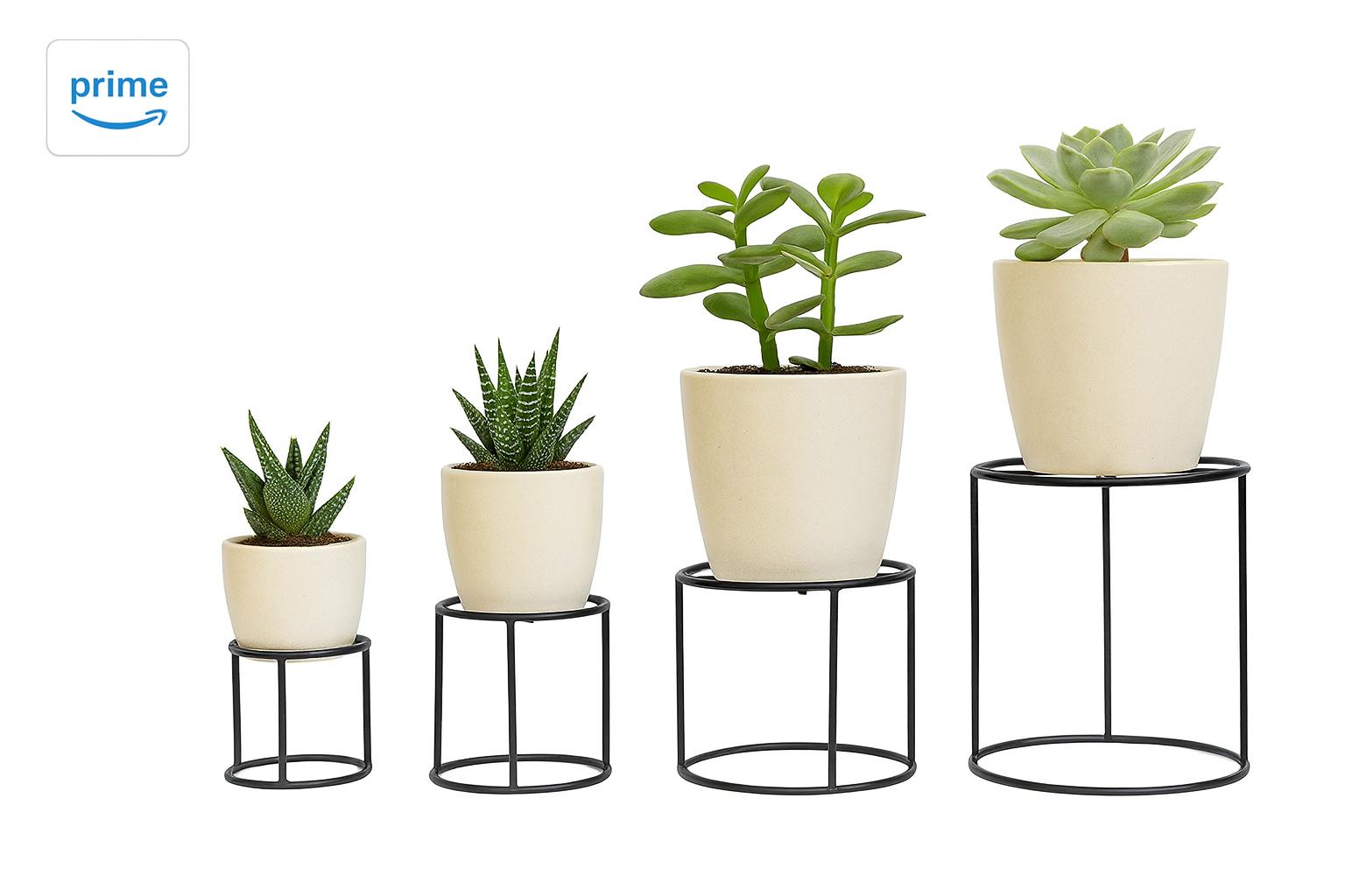4 in 1 Pot Planters That Bring Life Home