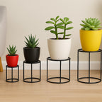 4 in 1 Pot Planters That Bring Life Home